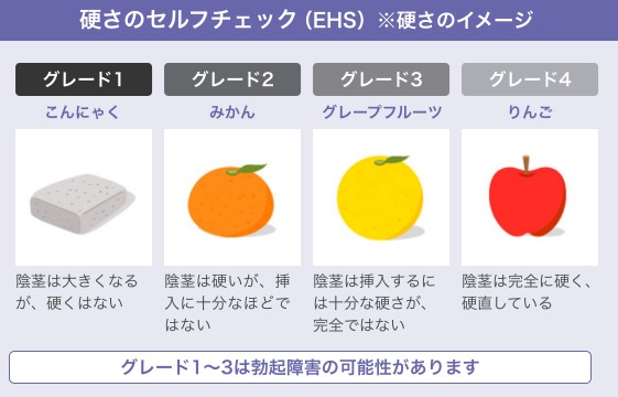 EDスケール