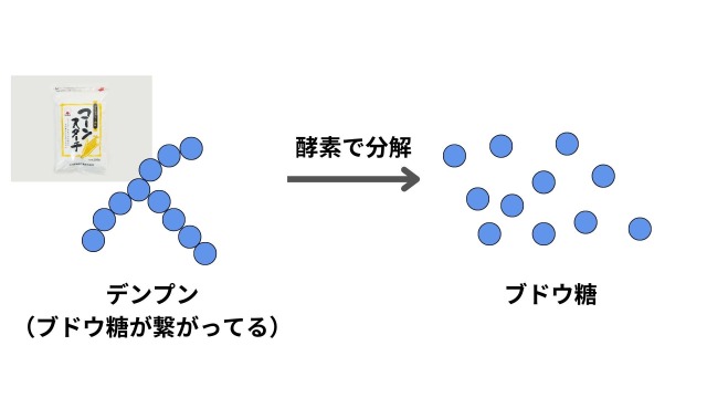 デンプンが酵素で分解されてブドウ糖に (1)