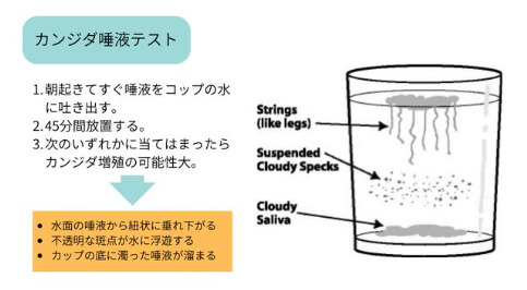 カンジダテスト